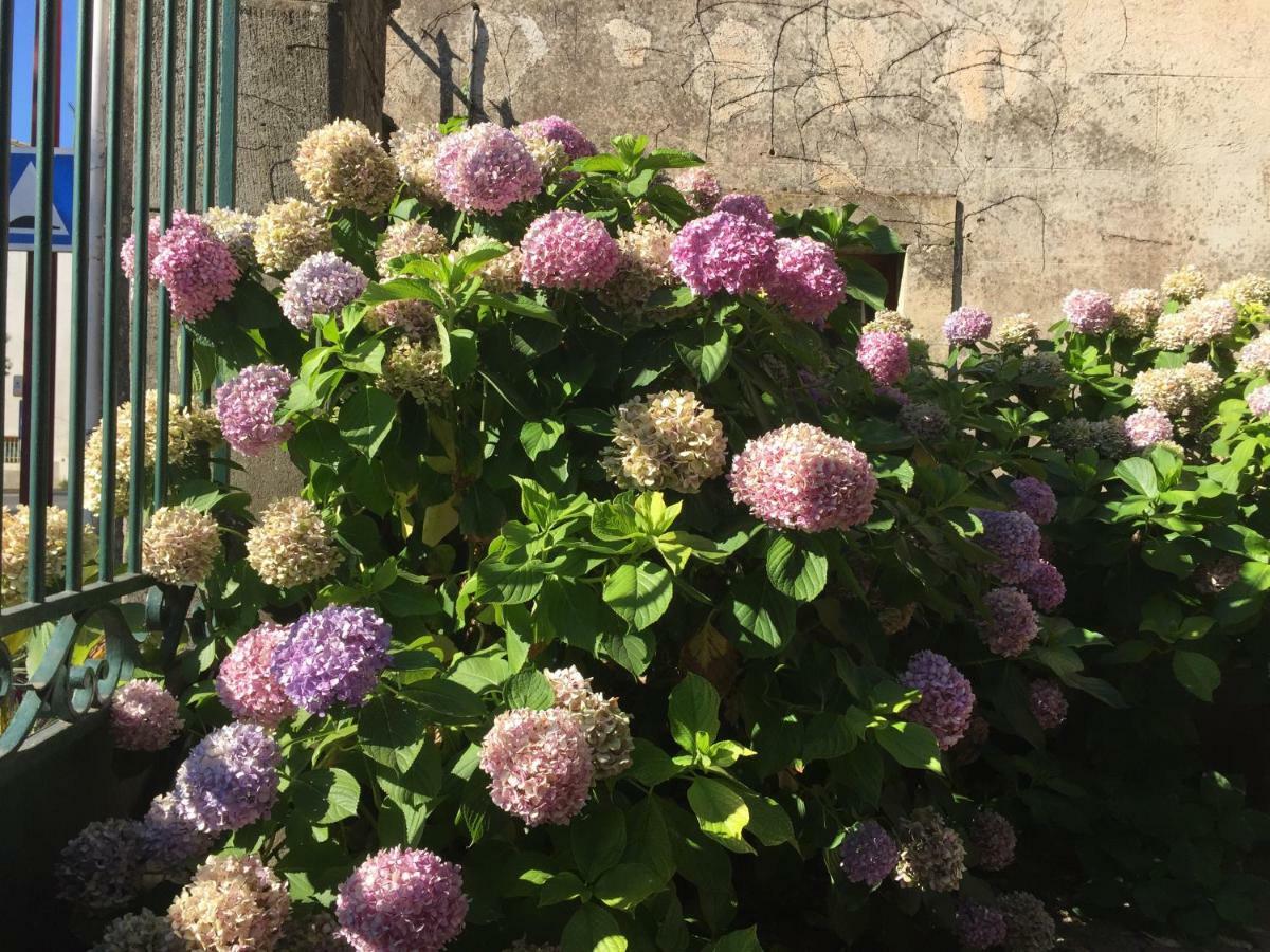 לינה וארוחת בוקר La Tour-sur-Orb Domaine De Brousson מראה חיצוני תמונה